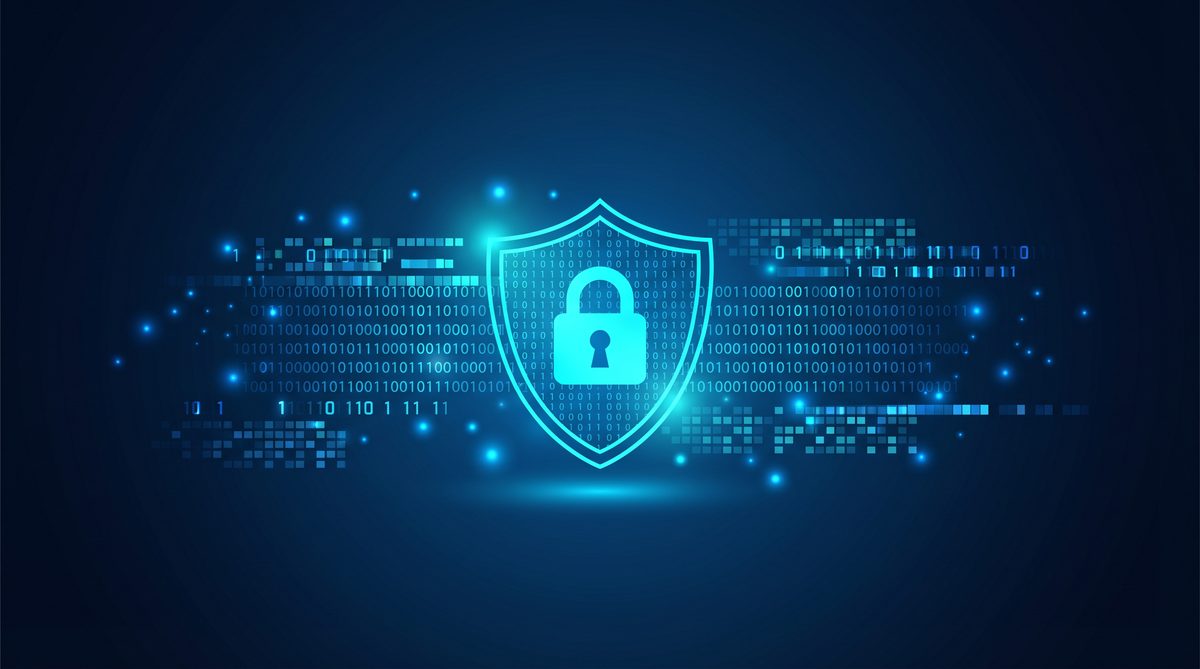 内生加速器隐私安全保护